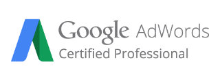 Google AdWords Propessional Google AdWords Propessional
